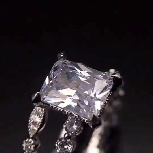 video snapshot
